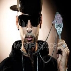 La fouine sur yala.fm